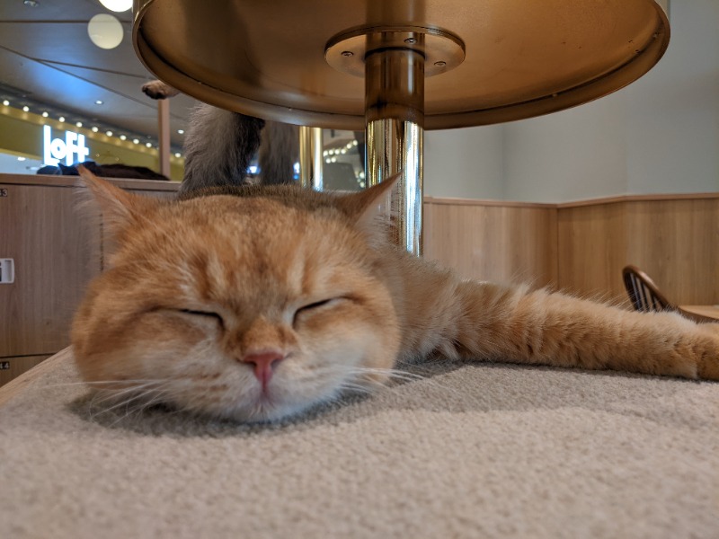 南信州人さんの信州健康ランドのサ活写真