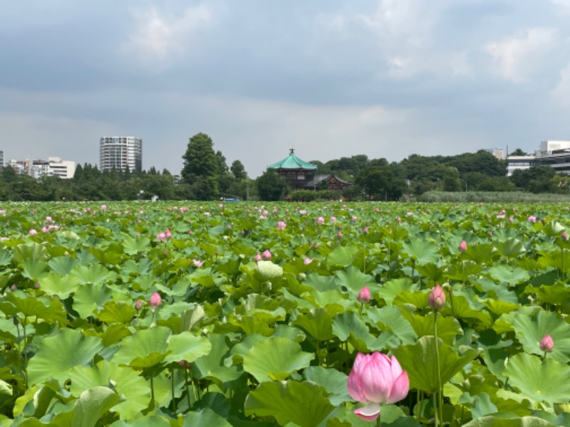 ささりさんのSmart Stay SHIZUKU 上野駅前のサ活写真