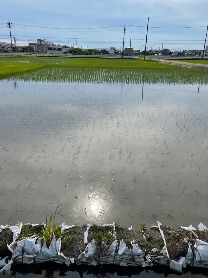 あぱーばうさんの葵湯のサ活写真