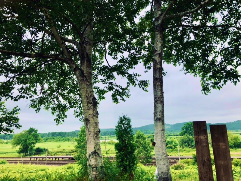 角川泰章（トトノイア）さんのKushiro Marshland Hostel THE GEEKのサ活写真