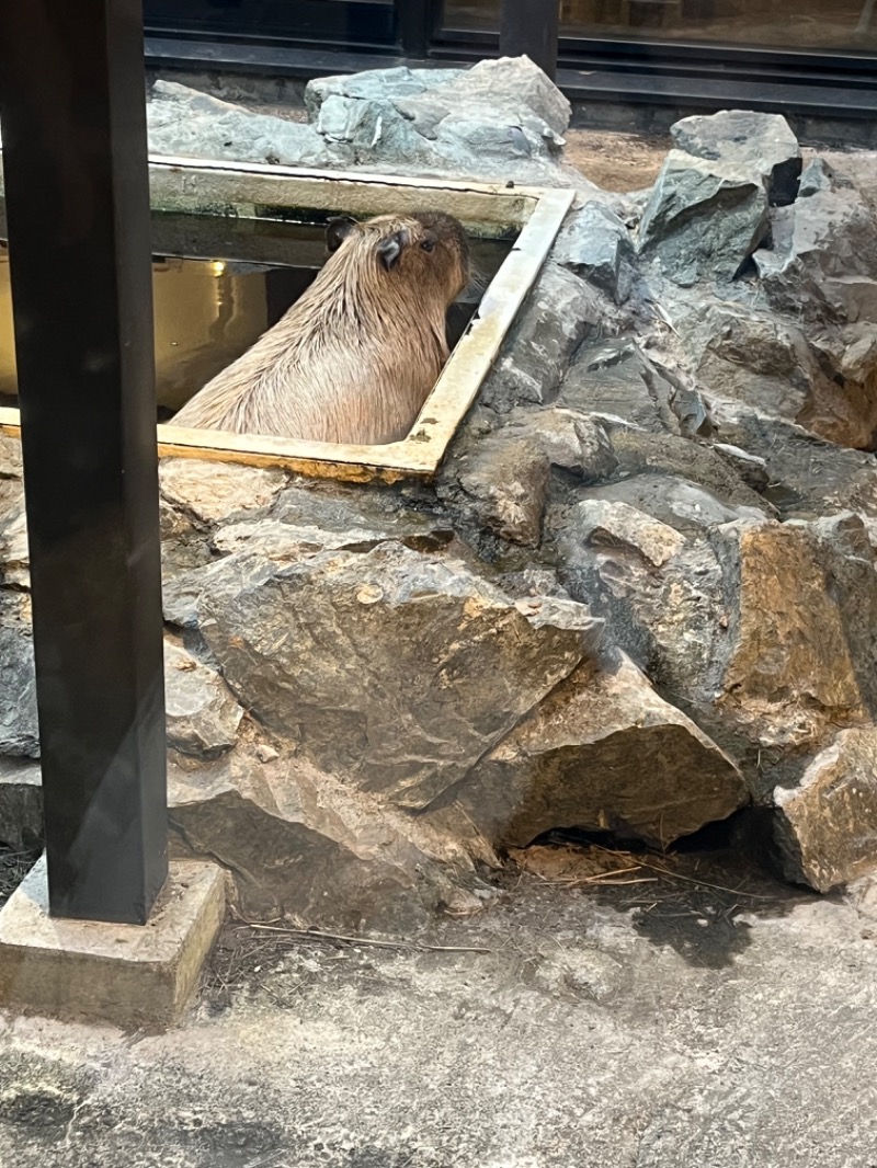 たたまるさんの石狩天然温泉 番屋の湯のサ活写真