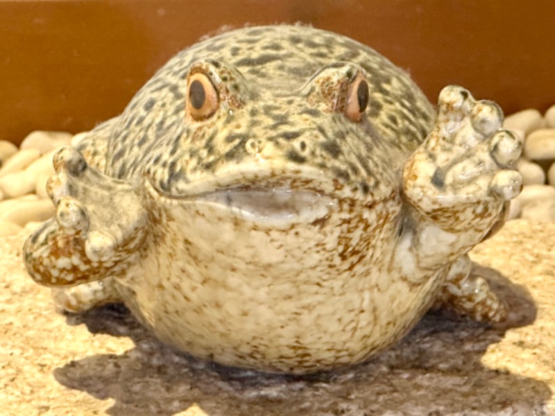 えぬざっぱーさんの旬食・ゆ処・宿 喜芳のサ活写真