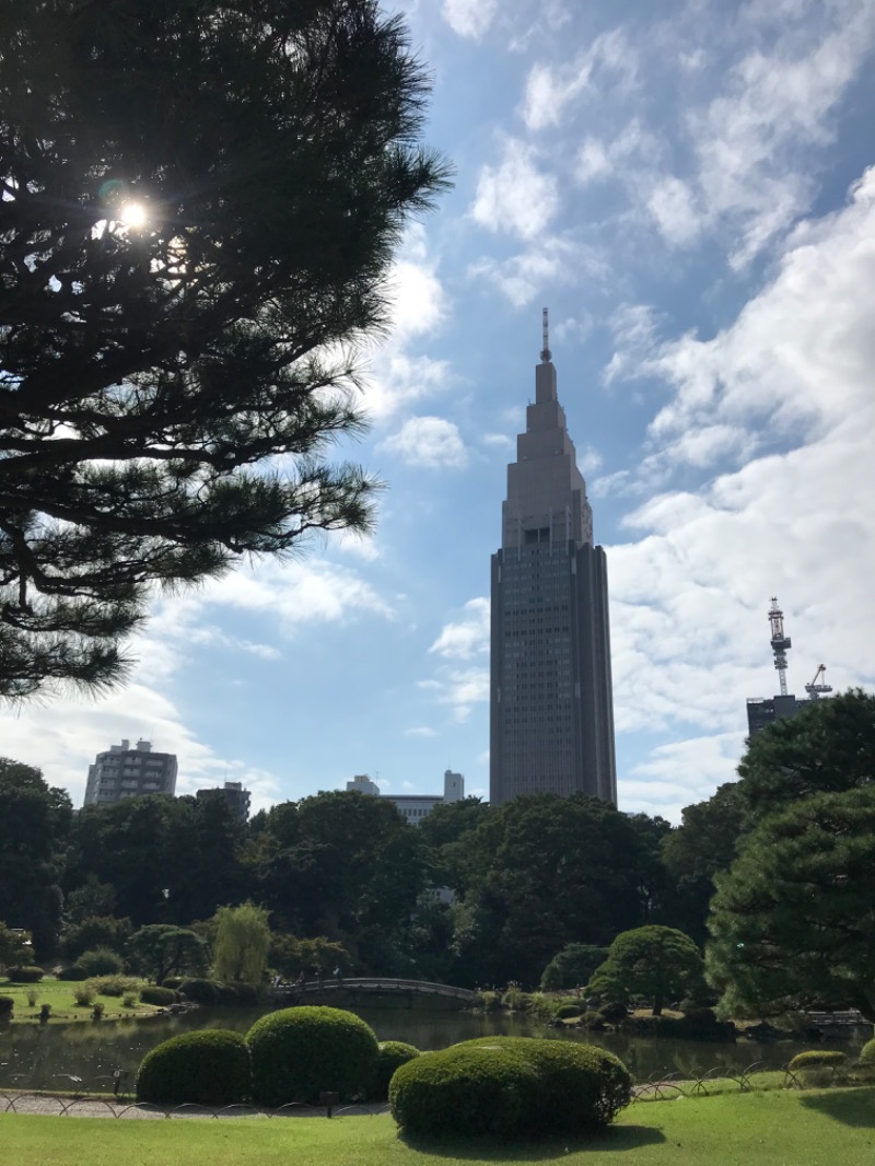 おヌシちゃん1級さんの辰巳湯のサ活写真