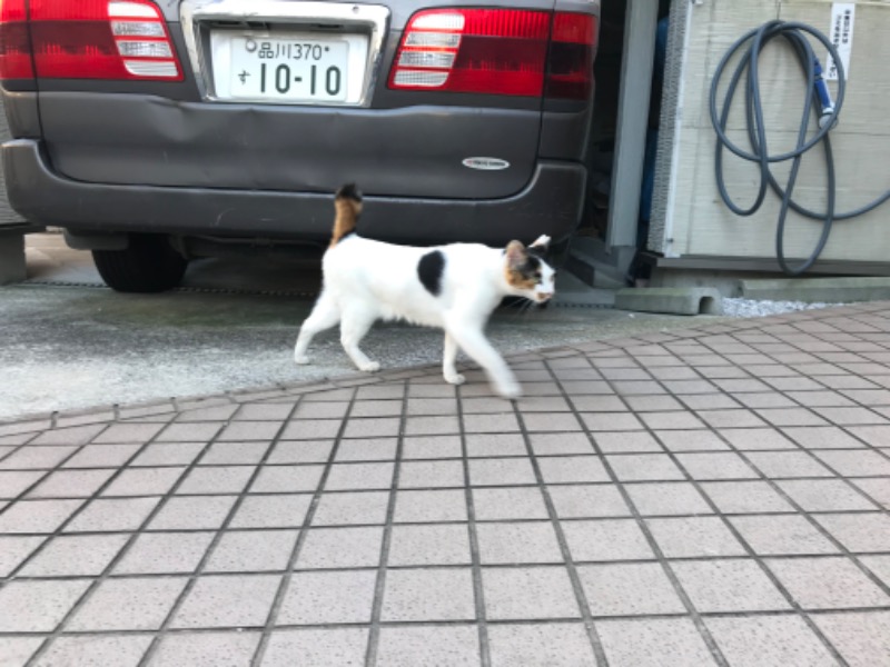 おヌシちゃん1級さんの照の湯のサ活写真