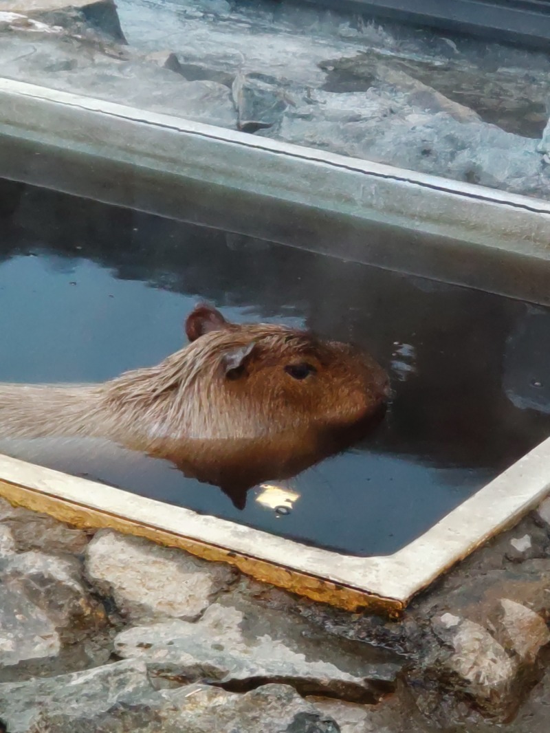 やすさんの石狩天然温泉 番屋の湯のサ活写真