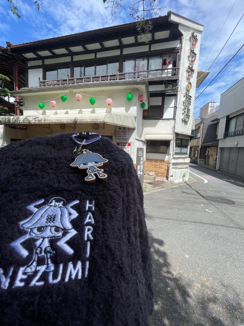 へなおさんのサウナの梅湯のサ活写真