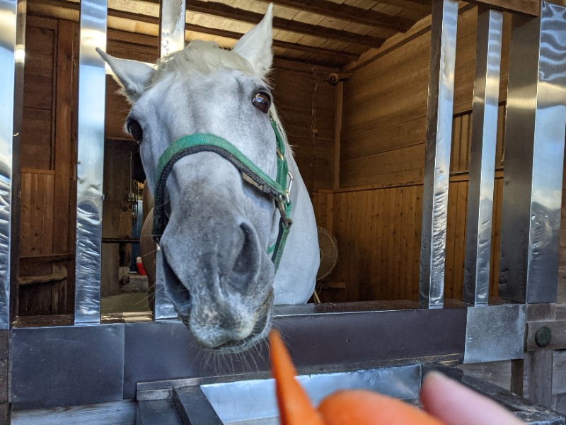 粗塩さんの神馬の湯のサ活写真