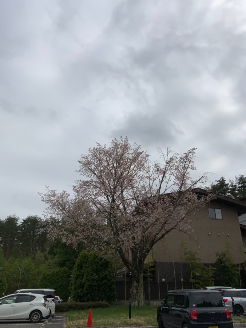 ボスさんの河口湖 ホテル 桜庵のサ活写真