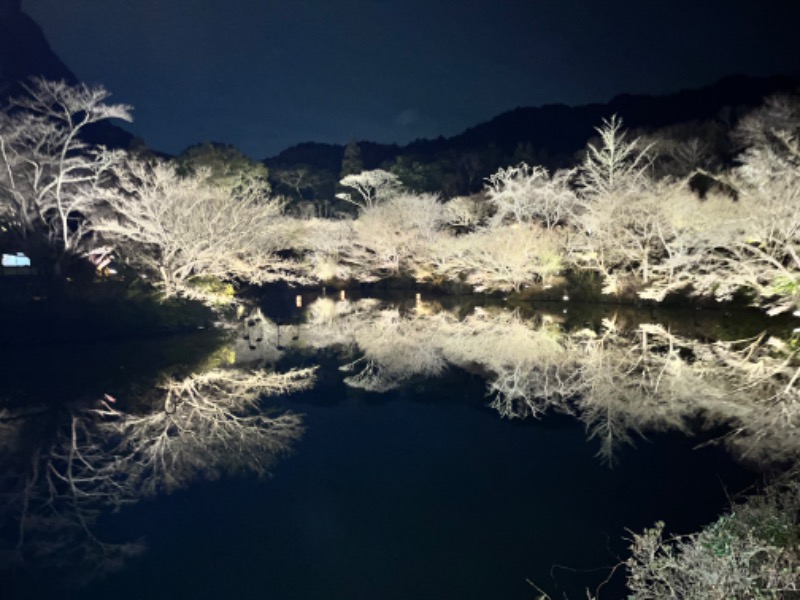 だいやさんの御船山楽園ホテル  らかんの湯のサ活写真