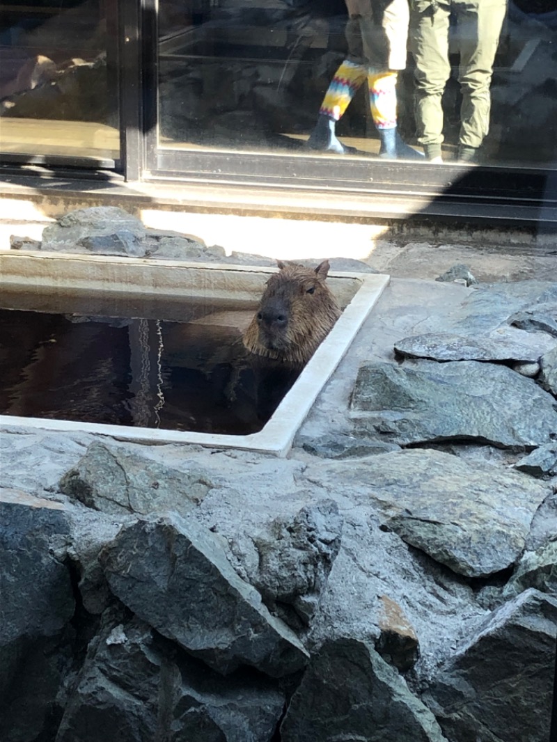 松本人志さんの石狩天然温泉 番屋の湯のサ活写真