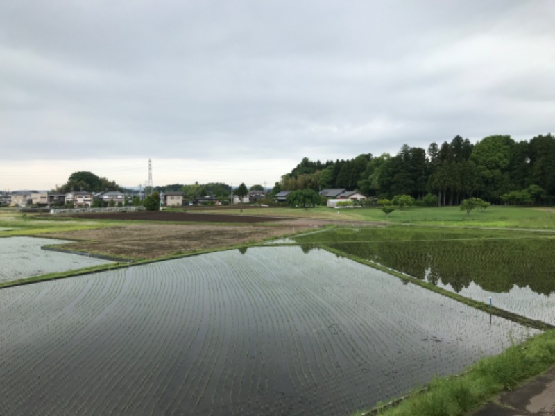 ぐるんぐるん37さんの極楽湯 水戸店のサ活写真