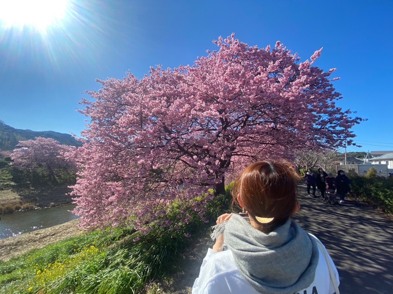 おねっぱちゃんさんの下賀茂温泉 銀の湯会館のサ活写真