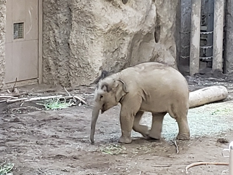 函館のサウナ好き！さんのニコーリフレ SAPPOROのサ活写真