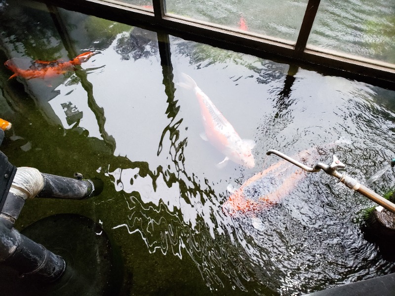 函館のサウナ好き！さんの花園温泉のサ活写真