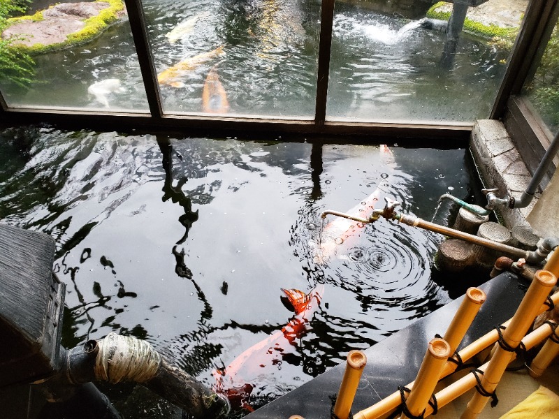 函館のサウナ好き！さんの花園温泉のサ活写真