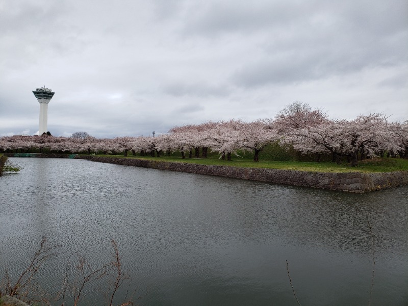 函館のサウナ好き！さんの花園温泉のサ活写真