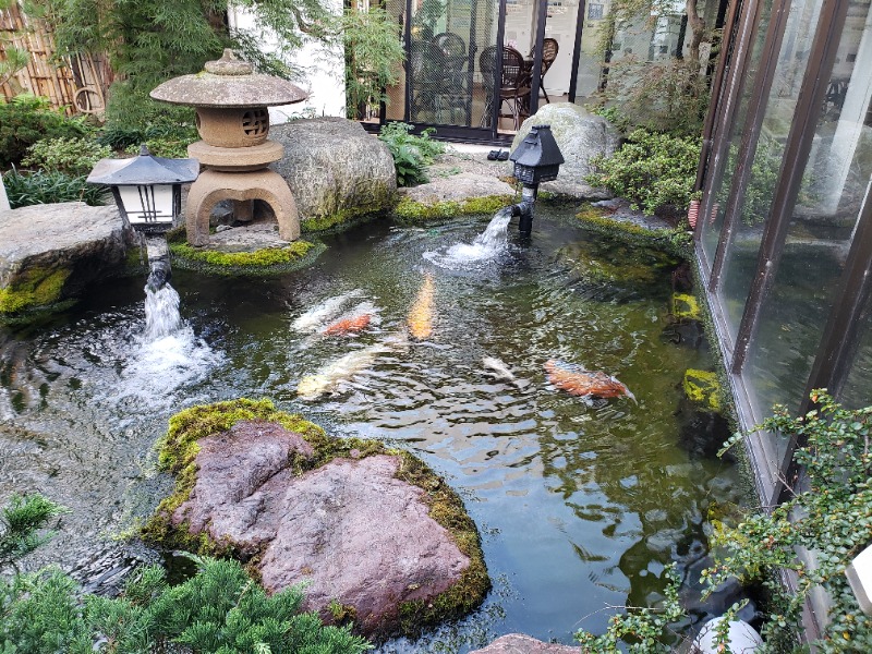 函館のサウナ好き！さんの花園温泉のサ活写真