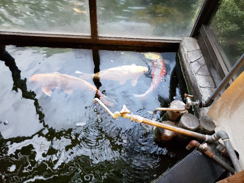 函館のサウナ好き！さんの花園温泉のサ活写真