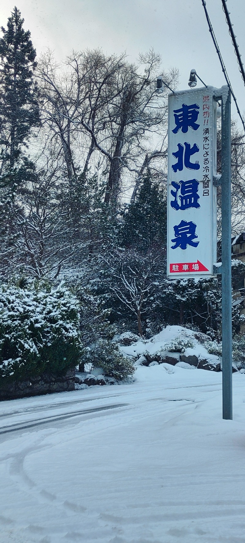 孤独のサウナボーイさんの東北温泉のサ活写真