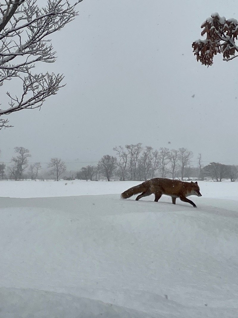 96さんの岬の湯 しゃこたんのサ活写真