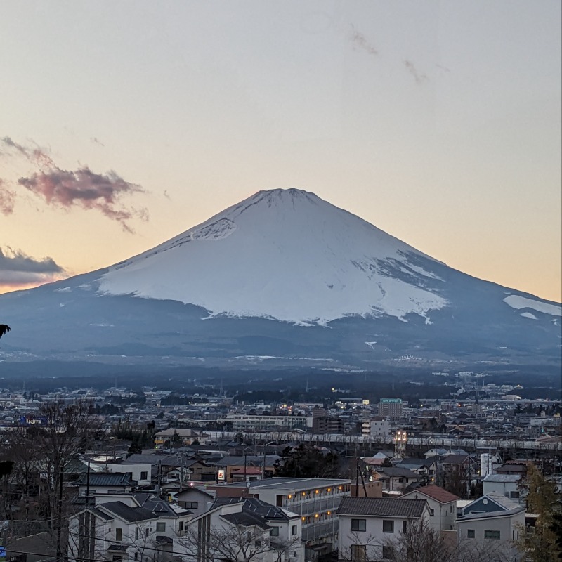 あせっかきさんの天然温泉 富士桜の湯 ドーミーインEXPRESS富士山御殿場のサ活写真