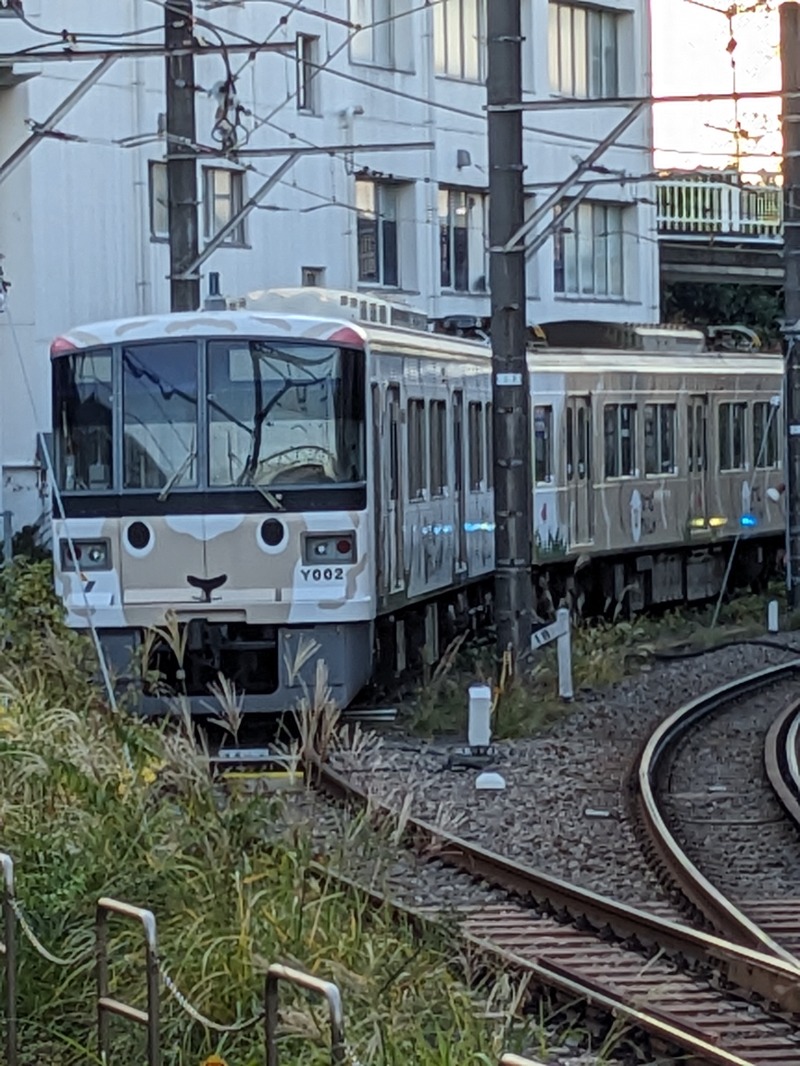 あせっかきさんの多摩境天然温泉 森乃彩のサ活写真