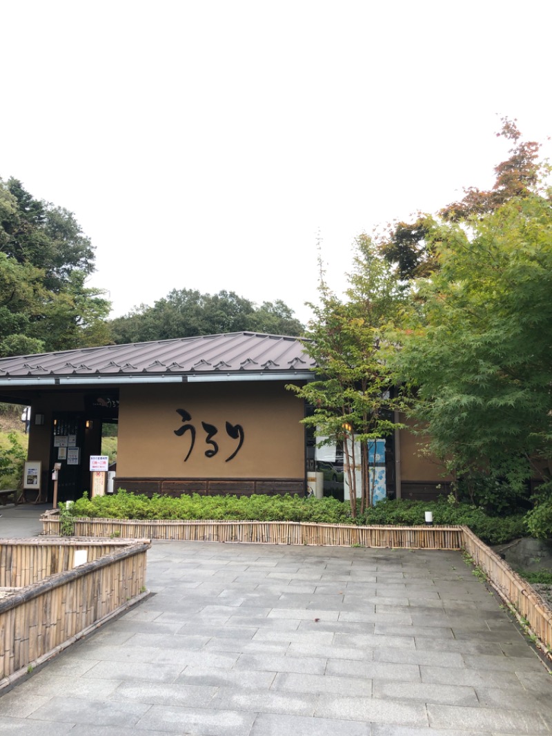 もっちーさんのさがみ湖温泉 うるりのサ活写真