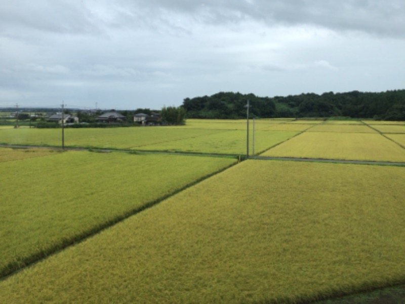 マゲ万平さんの成田の命泉 大和の湯のサ活写真