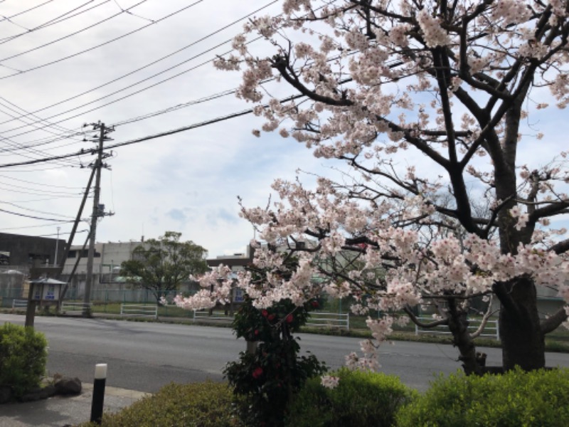 マゲ万平さんの市原天然温泉江戸遊のサ活写真