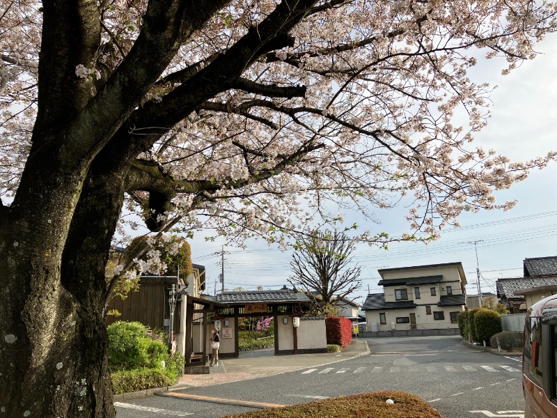 カラーひよこさんの野天風呂 蔵の湯 東松山店のサ活写真