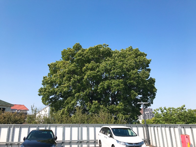 カラーひよこさんのおふろの王様 花小金井店のサ活写真