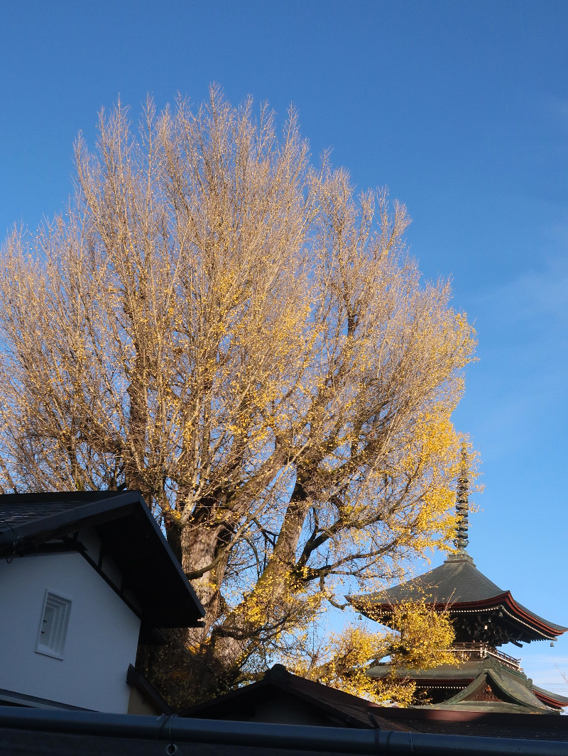 ぱかぱかさんの飛騨高山 自家源泉の湯 臥龍の郷のサ活写真