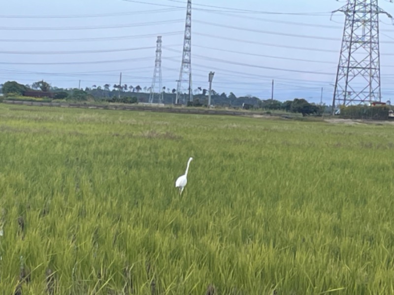 まゆみさんの聖籠観音の湯 ざぶーんのサ活写真