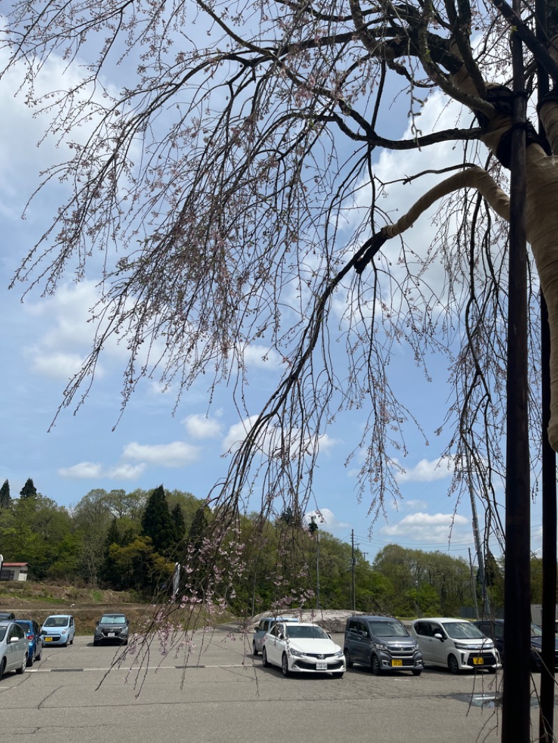 ちんpira子さんのえちご川口温泉のサ活写真