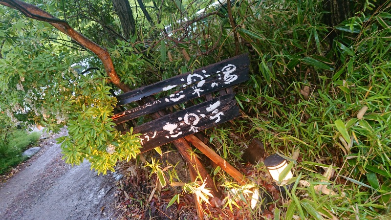 サトカツ88さんの縄文天然温泉 志楽の湯のサ活写真