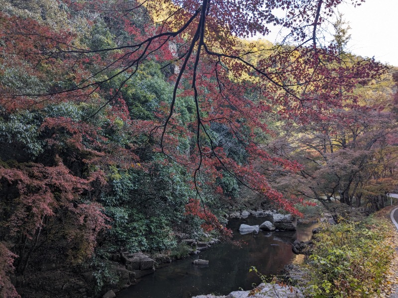 ノリノリさんのサントピア岡山総社のサ活写真