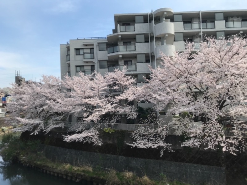 くまだʕ•ᴥ•ʔさんの天然温泉 満天の湯のサ活写真