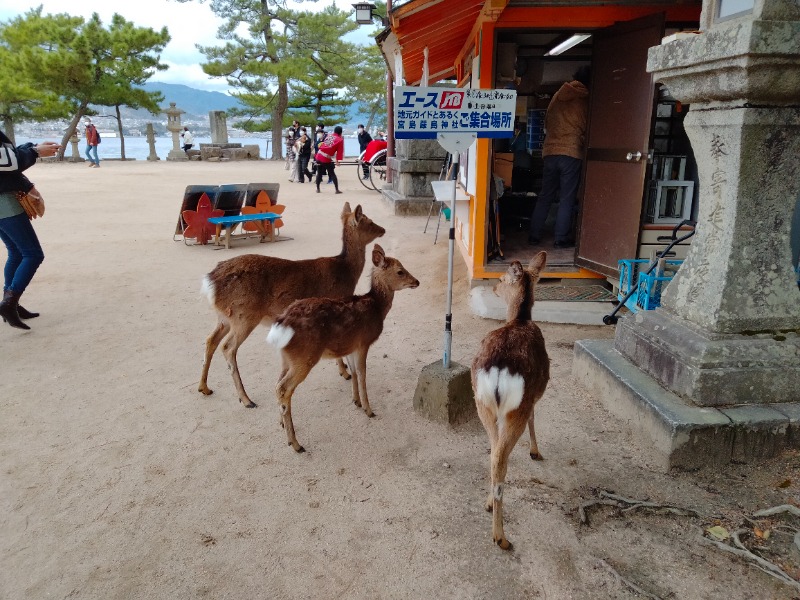 孤島さんの広島カプセルホテル&サウナ岩盤浴 ニュージャパンEXのサ活写真