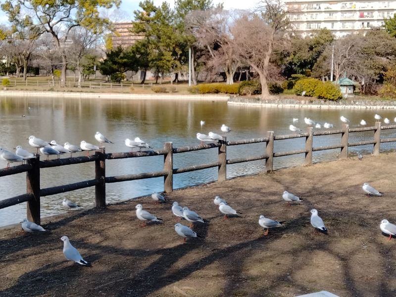 孤島さんの姫松温泉のサ活写真