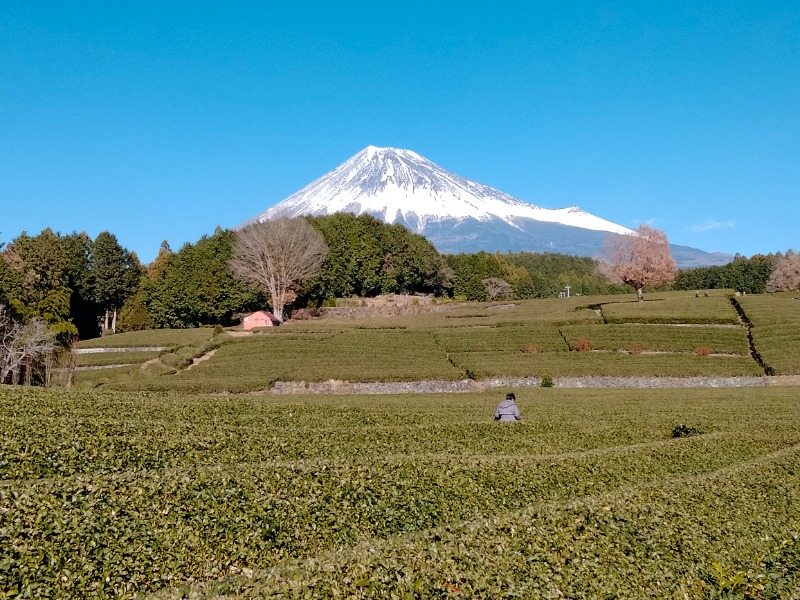 孤島さんの富士山天然水SPA サウナ鷹の湯のサ活写真