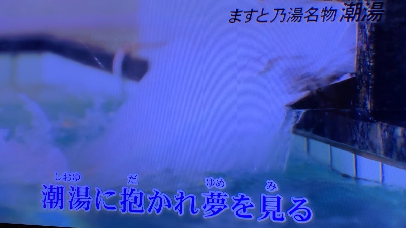 田口吾郎さんの三陸四季湯彩ますと乃湯のサ活写真