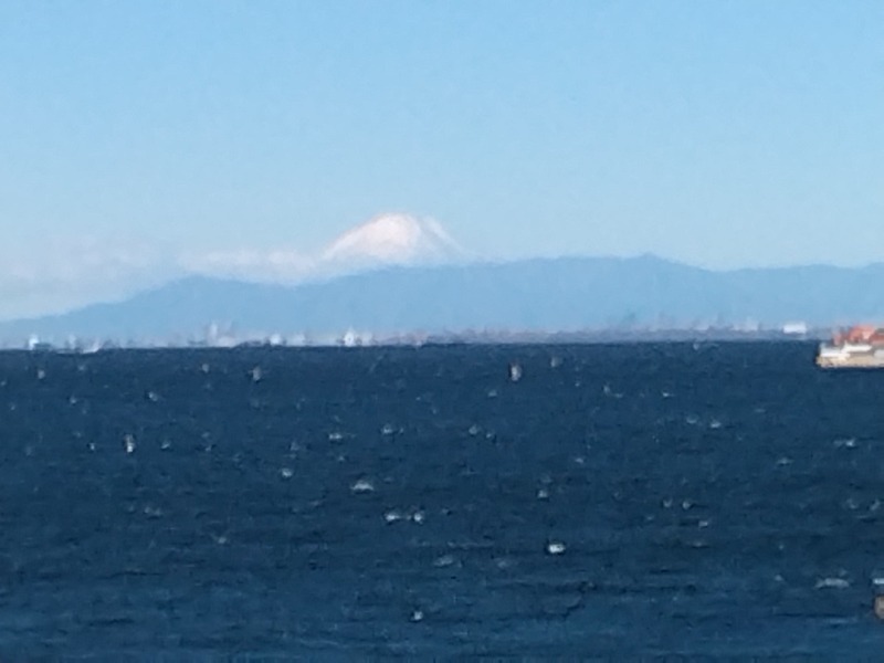 マサさんのJFA夢フィールド 幕張温泉 湯楽の里のサ活写真