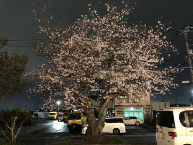 Millerさんの駿河の湯 坂口屋のサ活写真