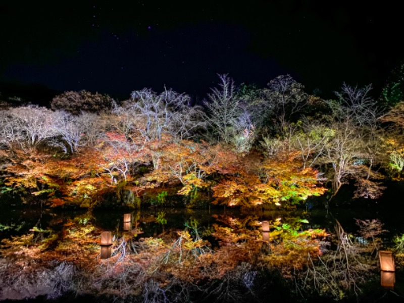 よしまるさんの御船山楽園ホテル  らかんの湯のサ活写真