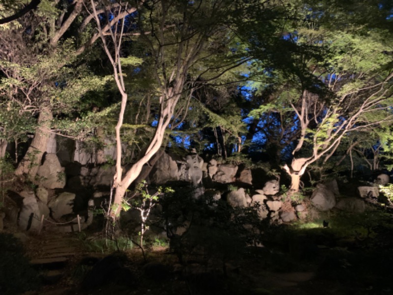 かとちんさんの豊島園 庭の湯のサ活写真