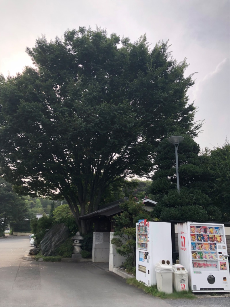 孫八さんの見沼天然温泉 小春日和のサ活写真