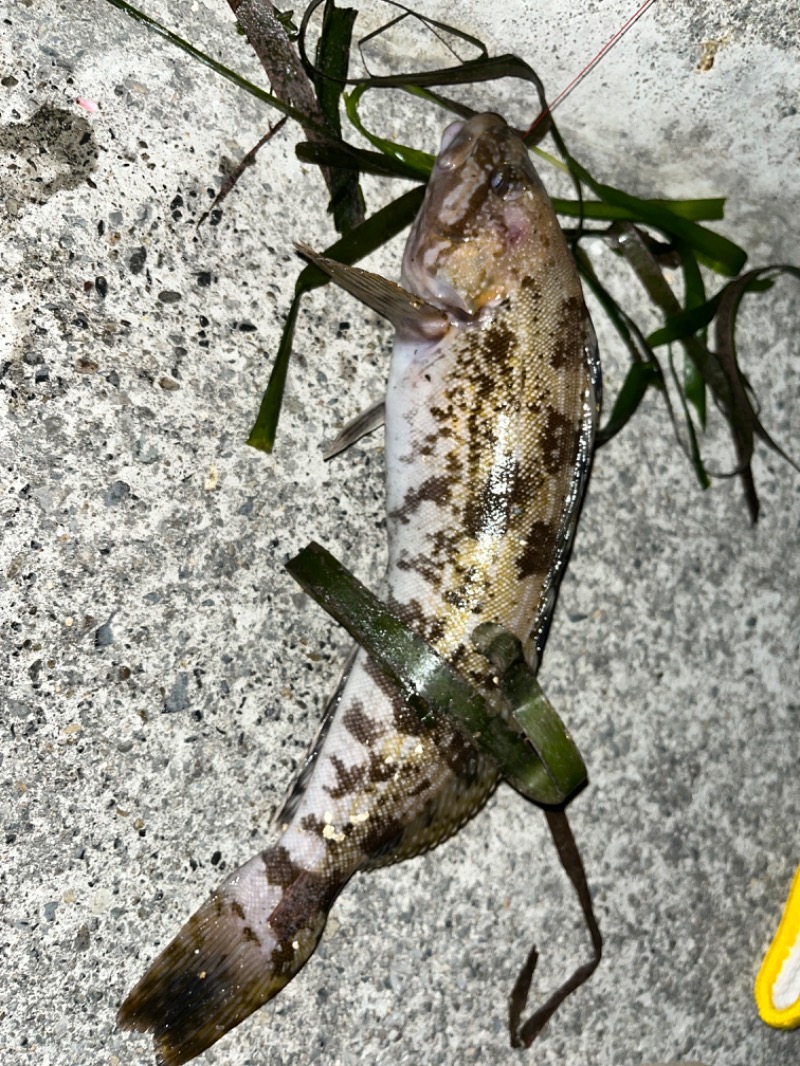 北の熊太郎さんのしゃくなげの湯っこ 五葉温泉のサ活写真