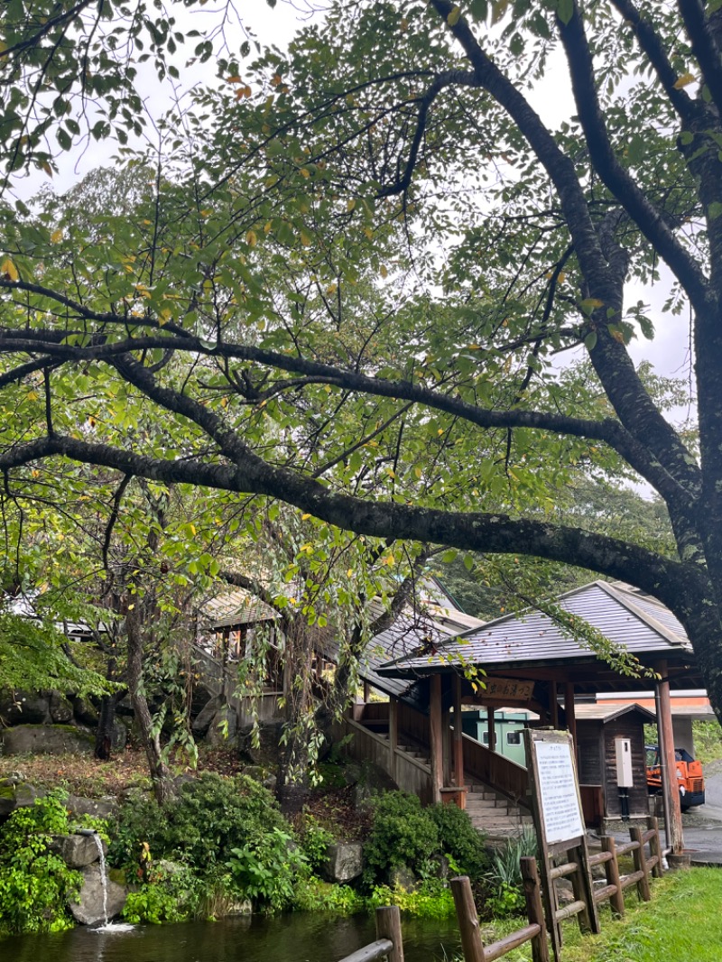 北の熊太郎さんの夏虫のお湯っこのサ活写真