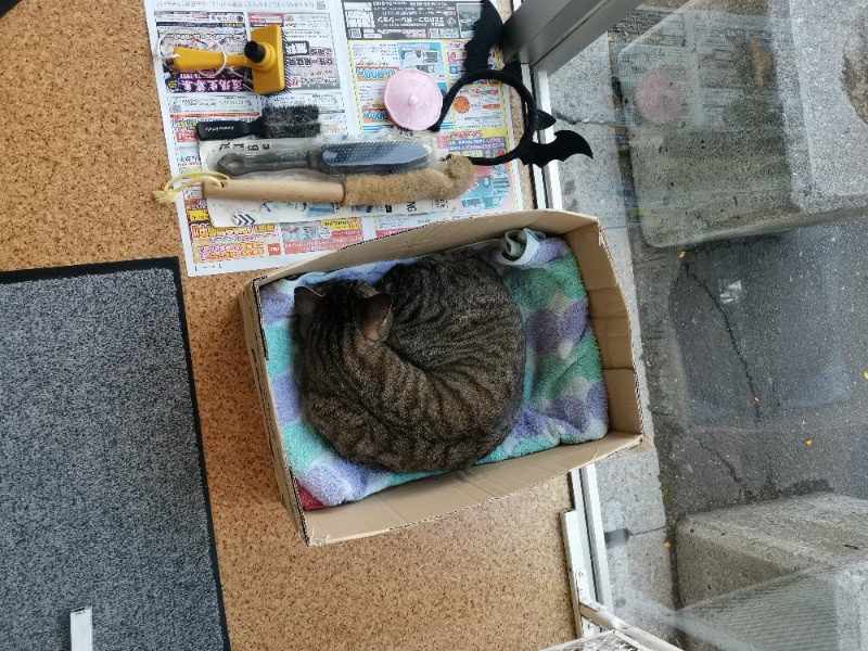 くまさんの花園温泉のサ活写真