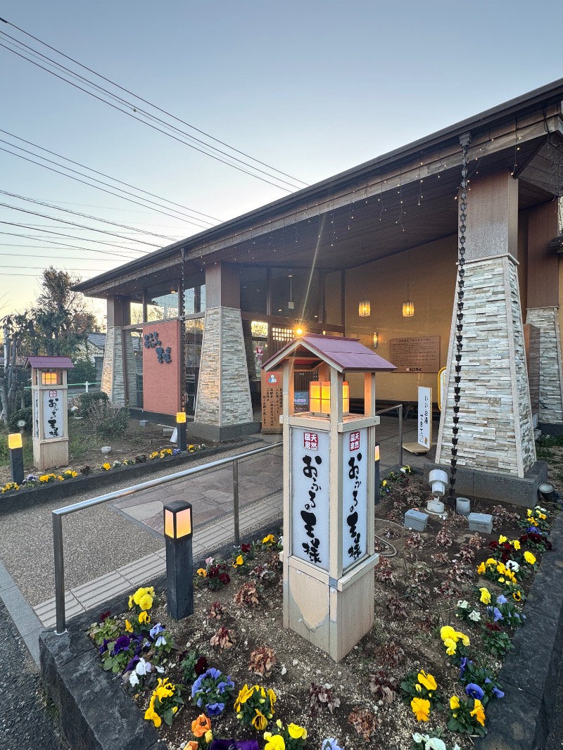 やすさんのおふろの王様 花小金井店のサ活写真